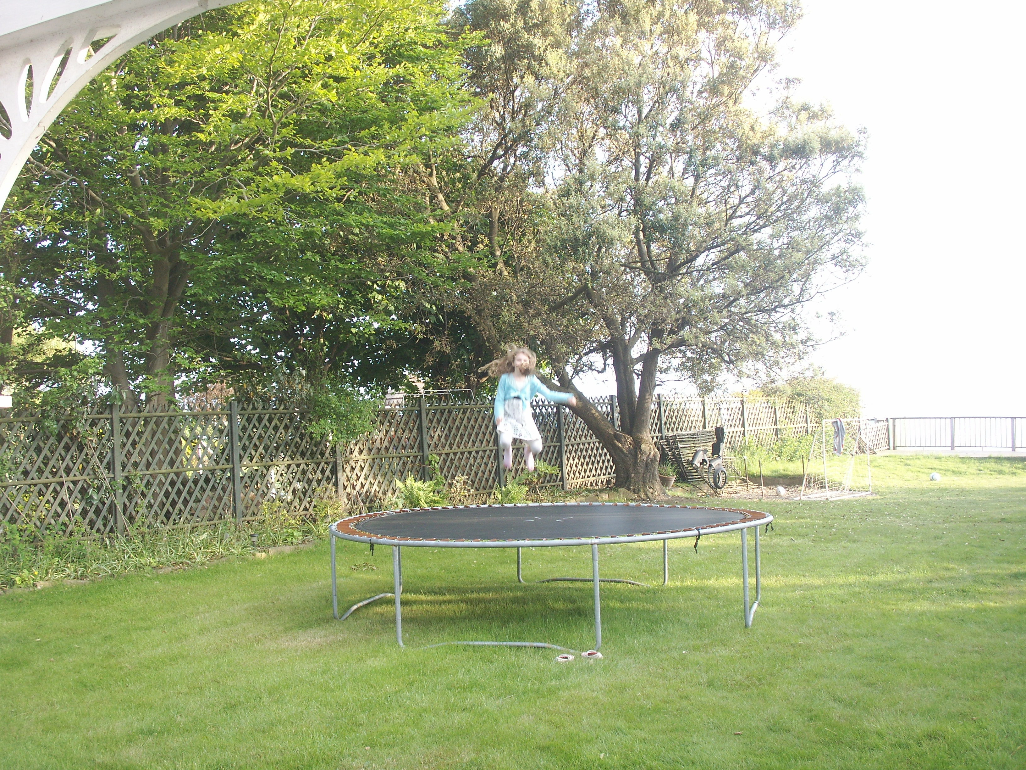 Image 12
